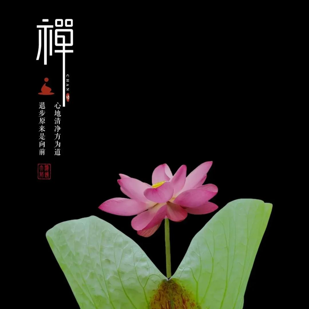 天涯