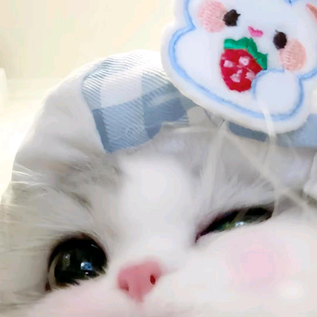 言焦味.