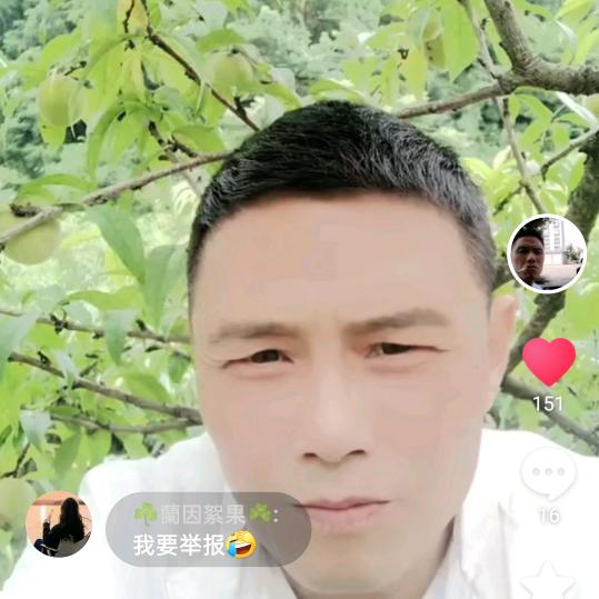 落花有意