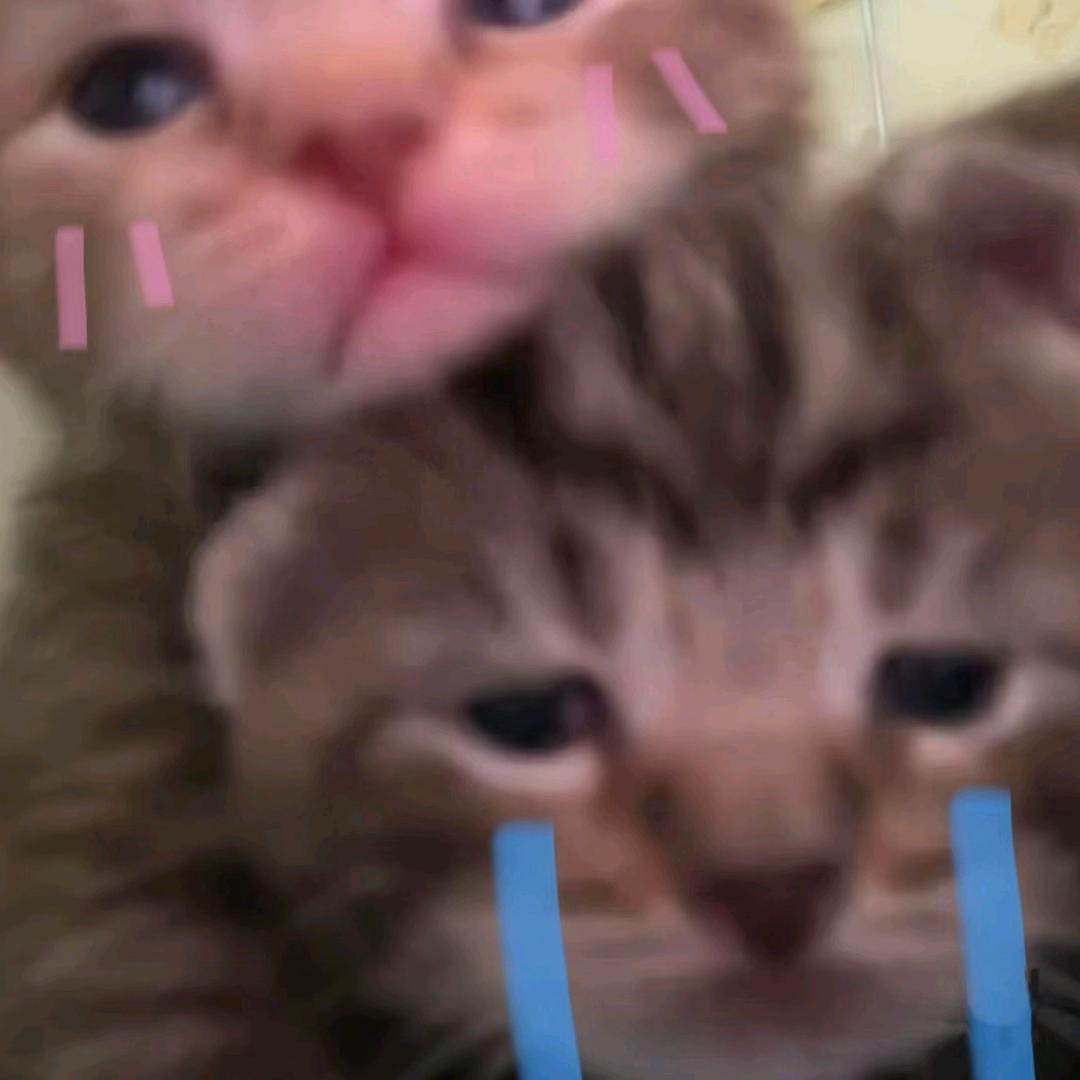 喋喋不休