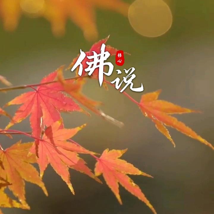 知遇-情感