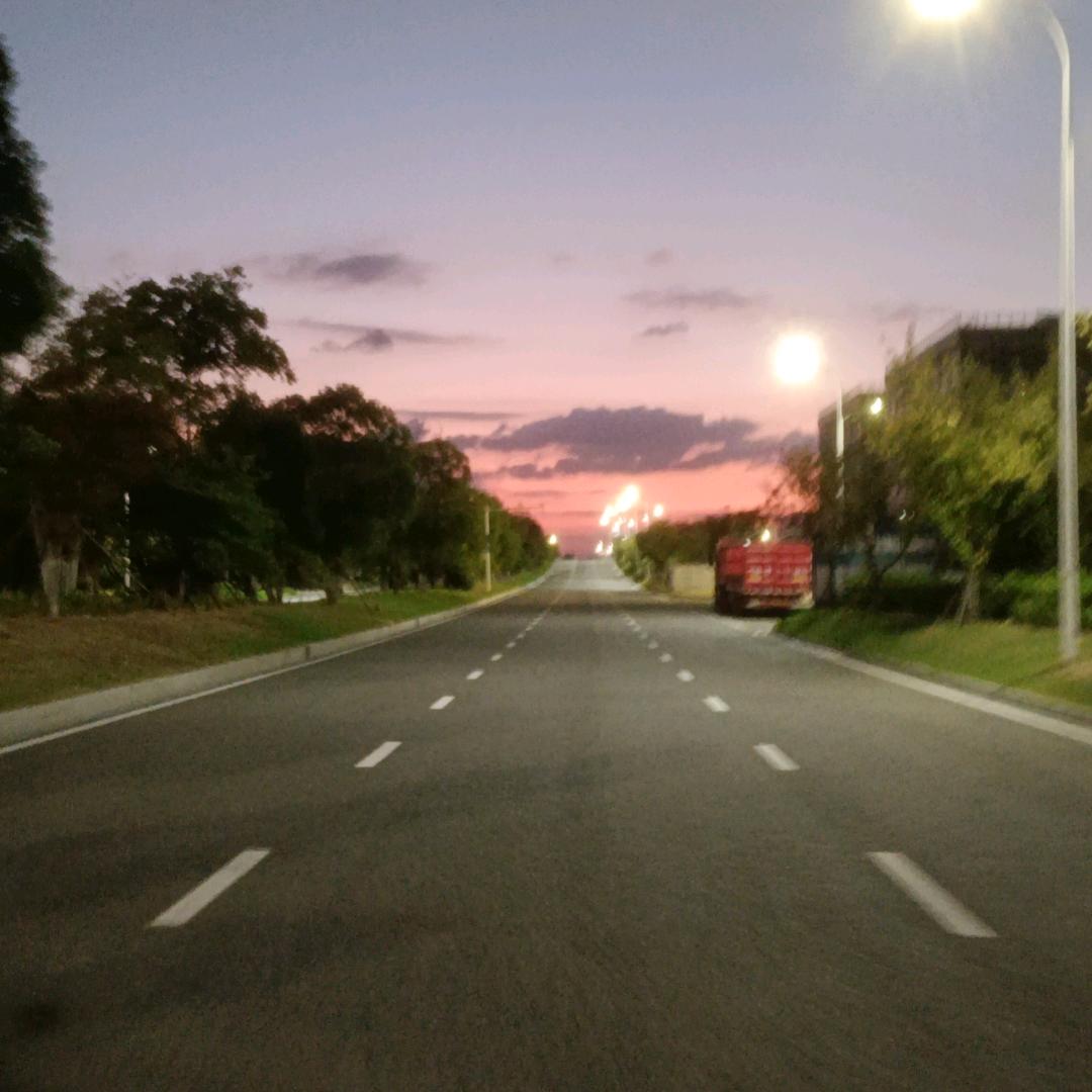 骑着野猪跑高速