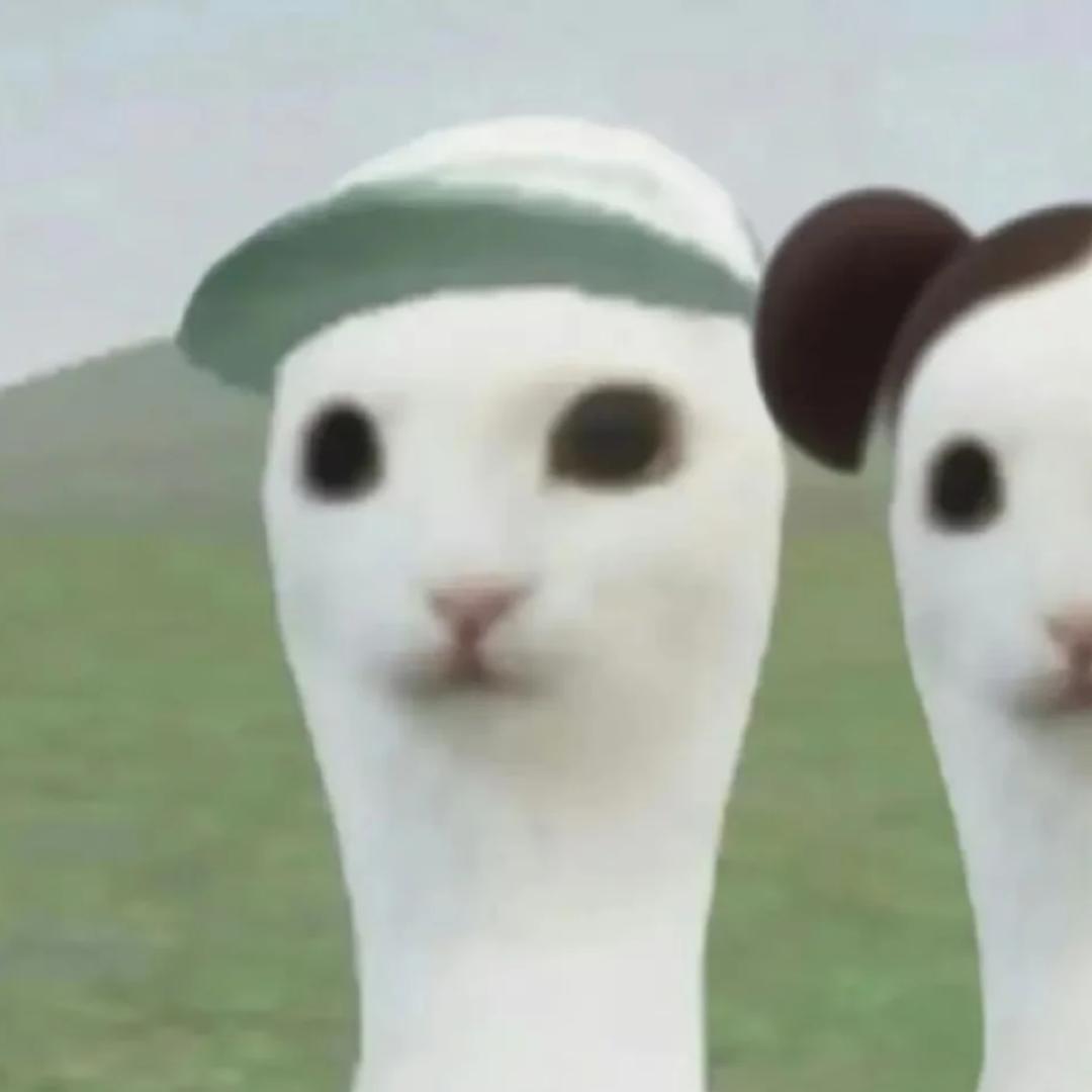 椰子🐑