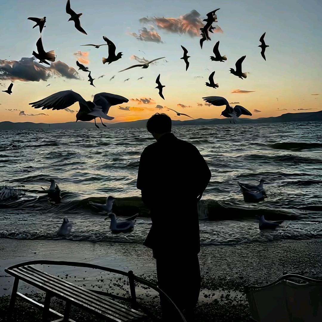 阿澈不撤退☘️