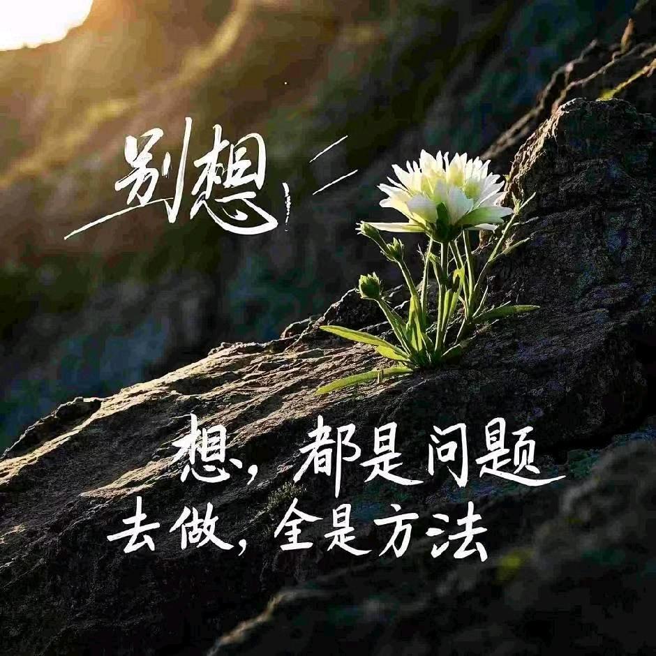 小柒