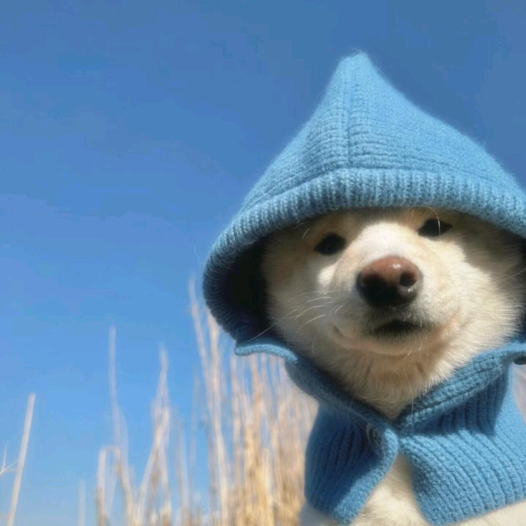 半山腰