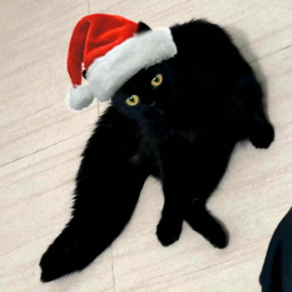 只想喝无糖冰红茶