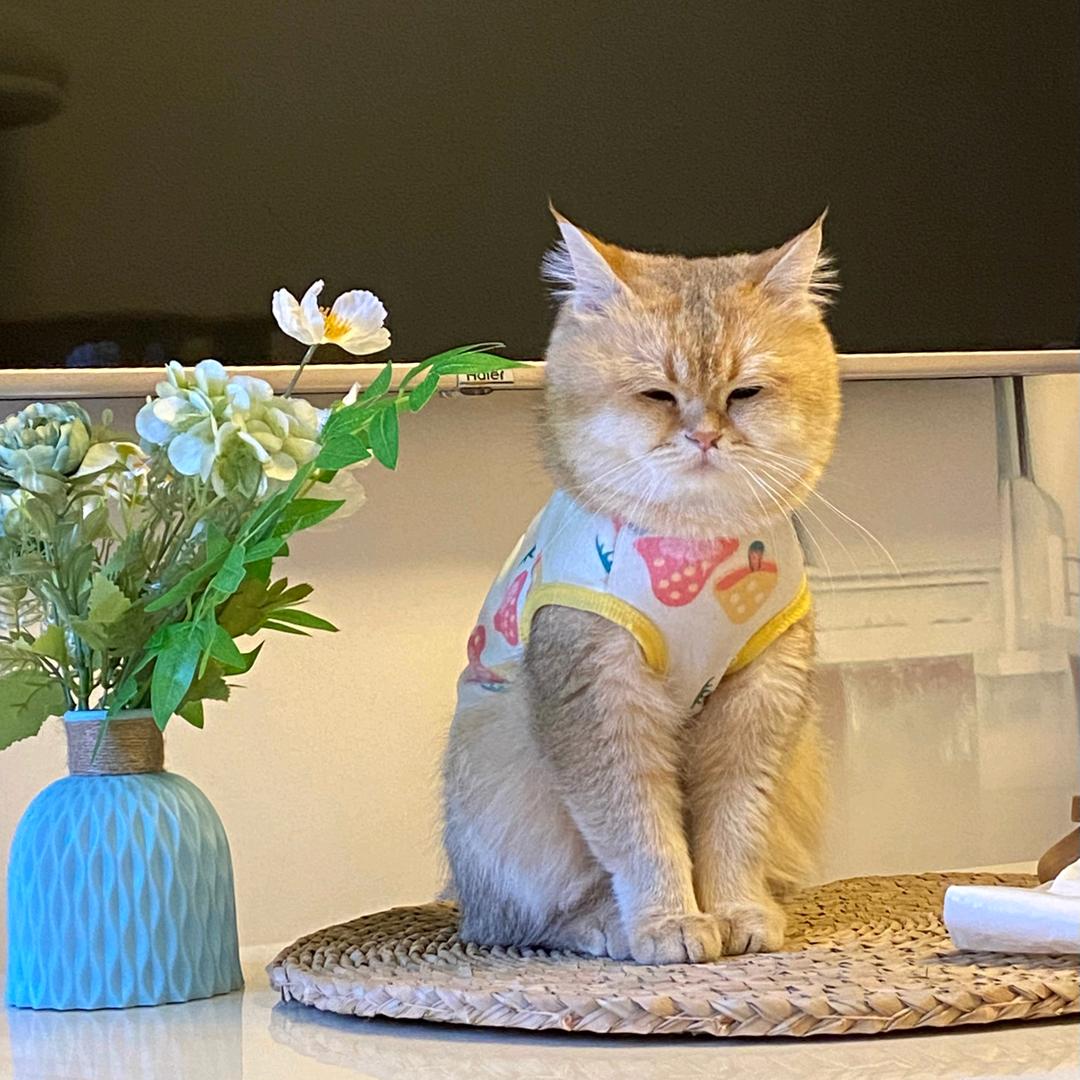 金金的干饭日记