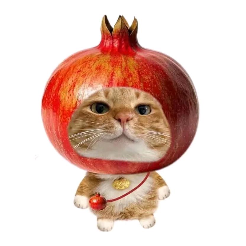 小迟春日（玩COS疯狂掉粉版）