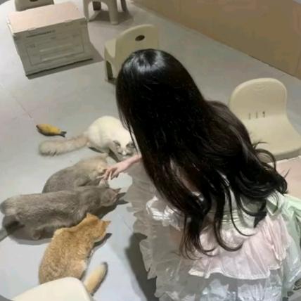 ^恋与春夏^☘️