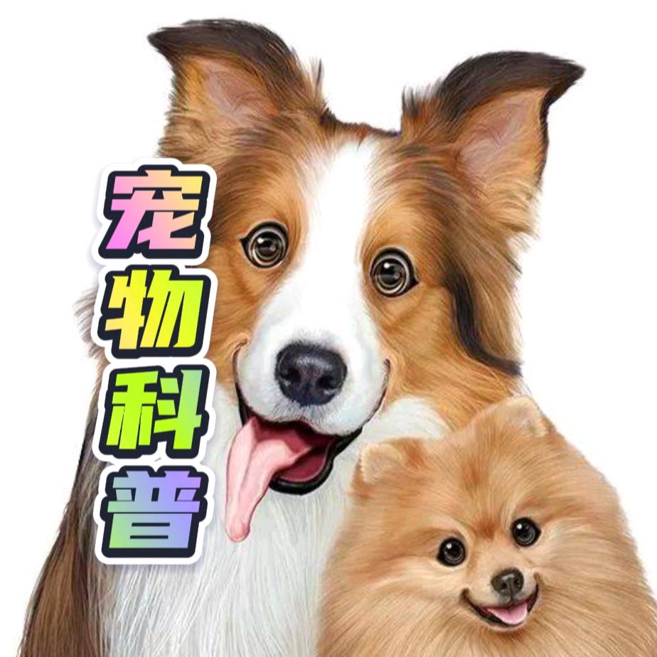 宠物科普