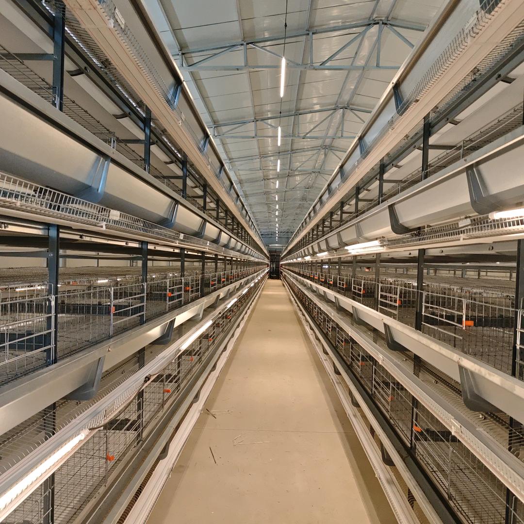 石家庄宝舍养殖设备