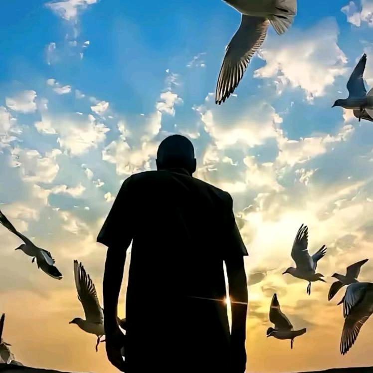 小雨台球器材（招代理可批发）