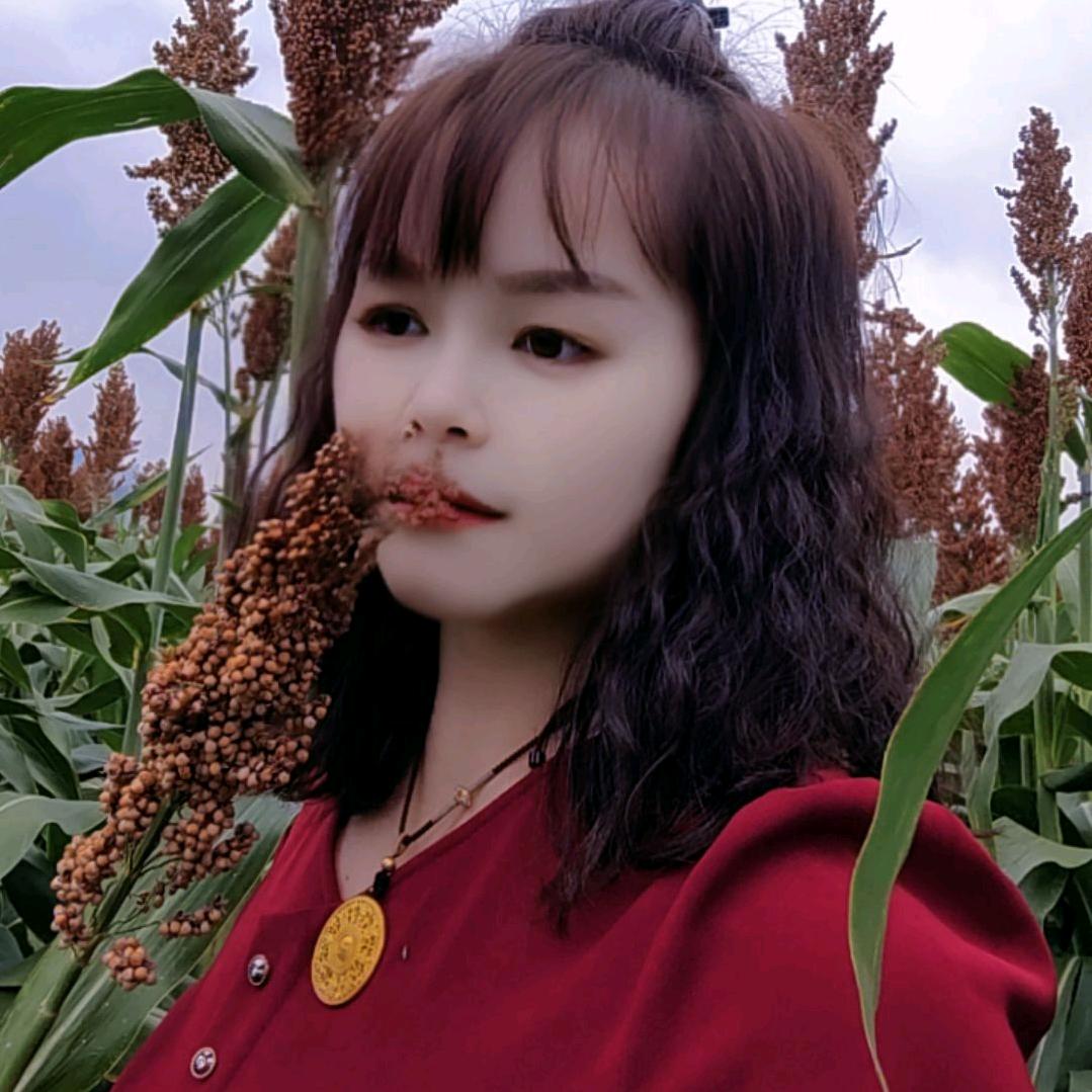 开心果