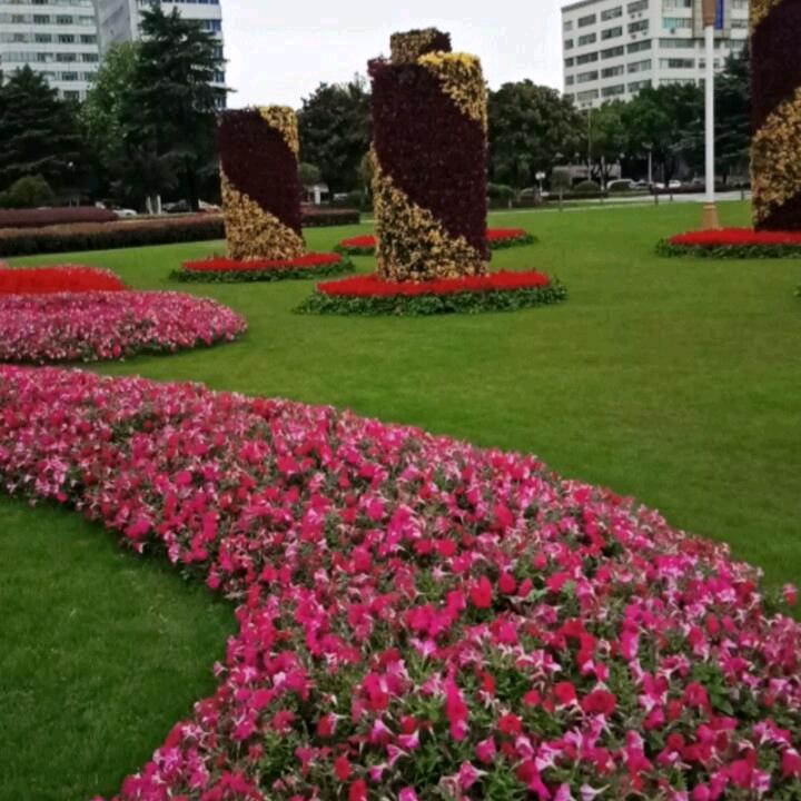 华府
