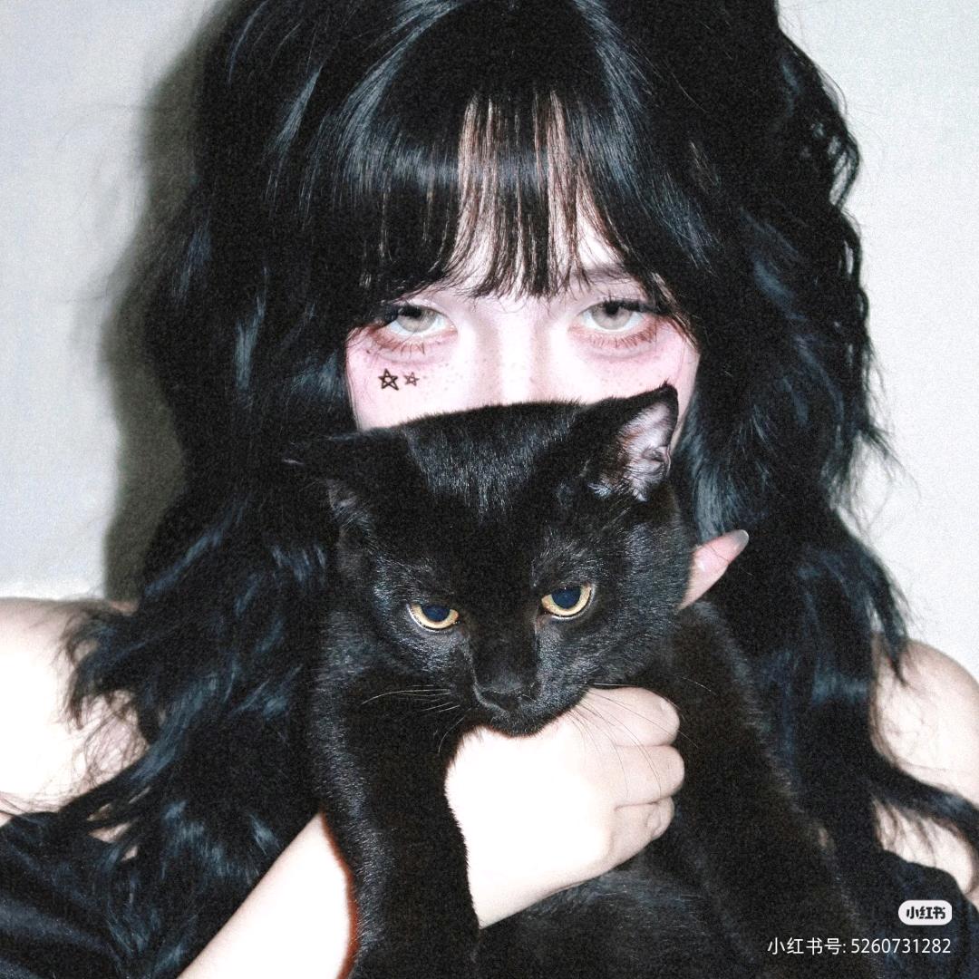 暗格中的猫耳朵〄
