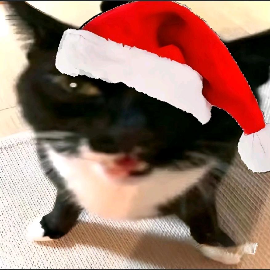 绝望的德国入999🙄