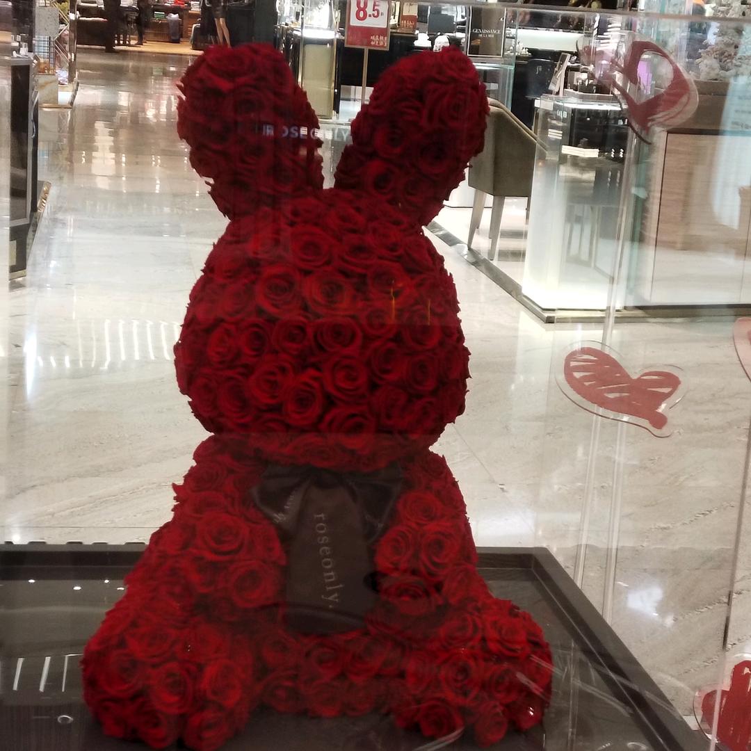 @💋可爱不可爱