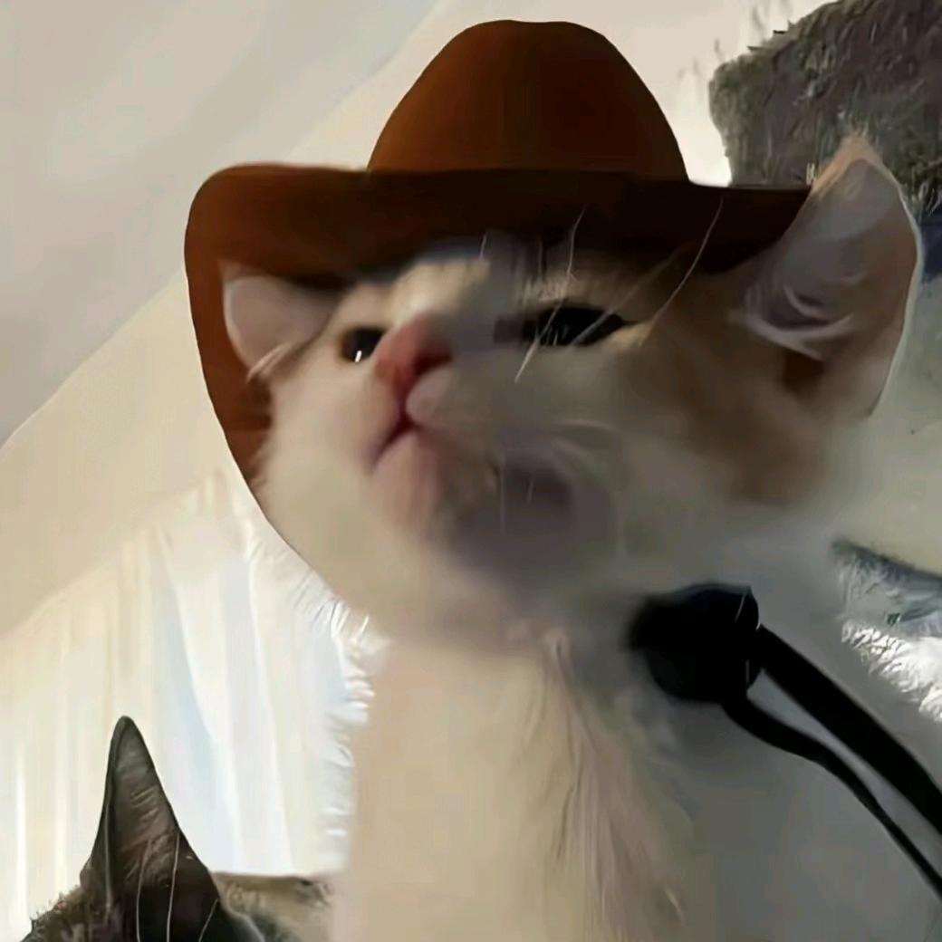 ♡ྀི好柿花生猫🐈头像