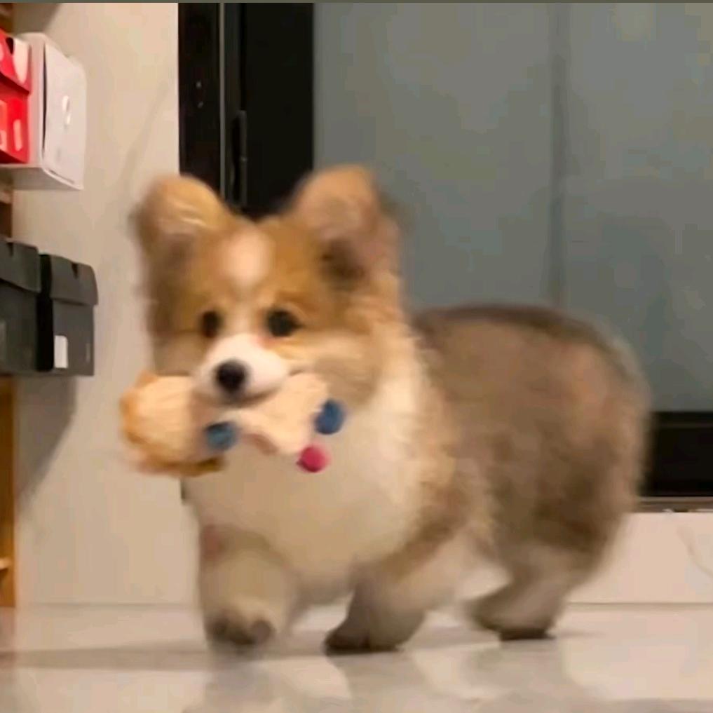 🔞