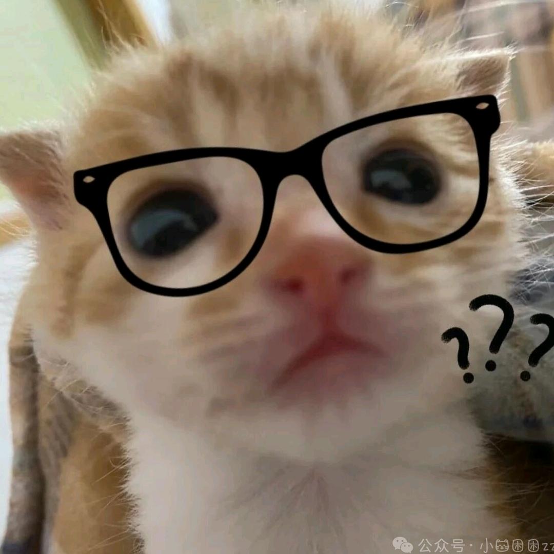 狗🐶爱吃巧克力🍫