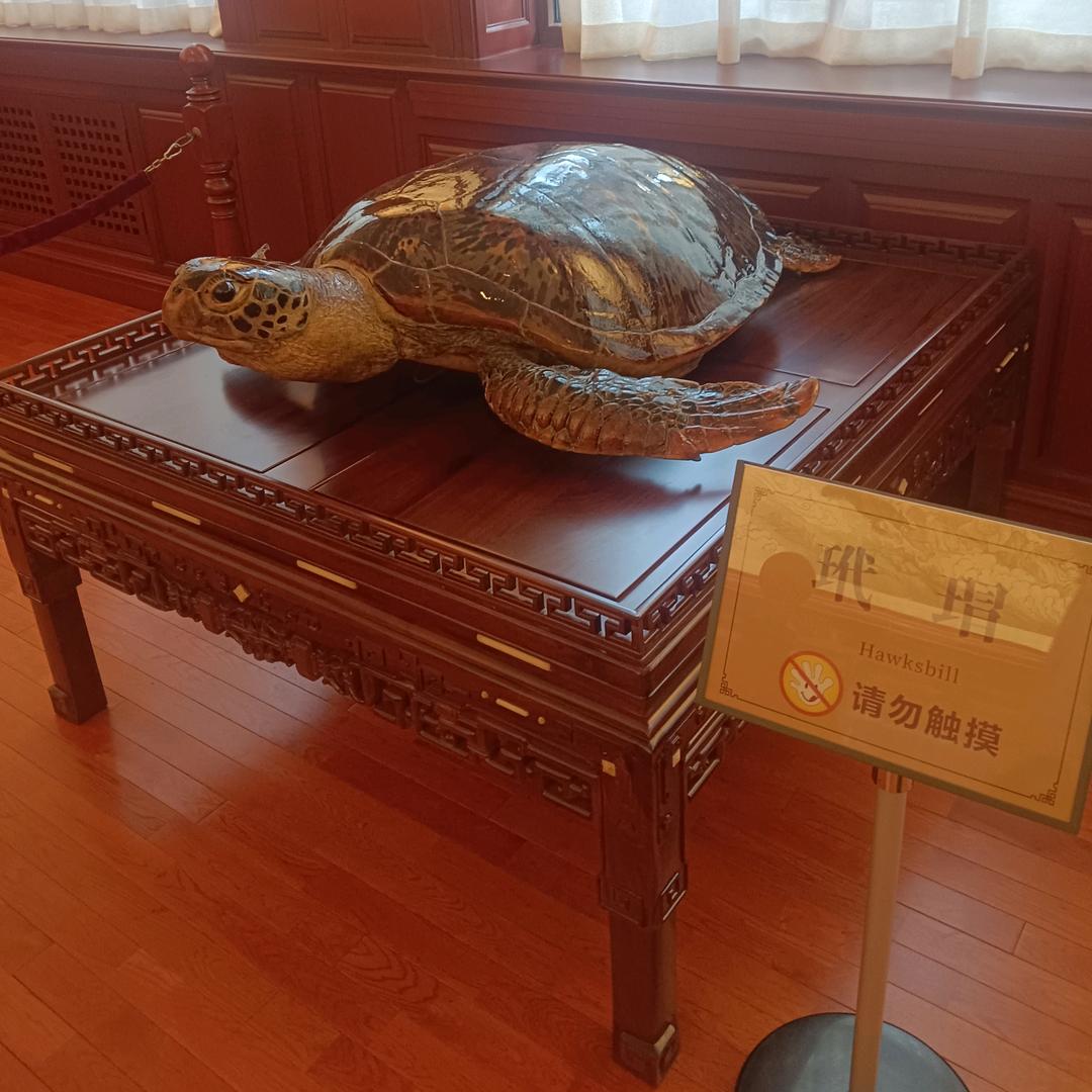 人生就是一种修行