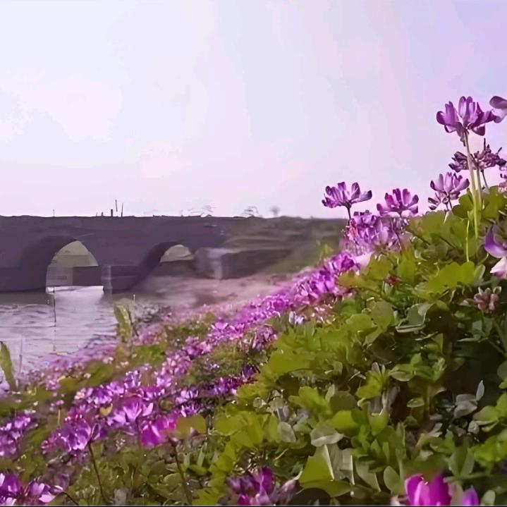 溪城旧人～80后农民工返乡创业
