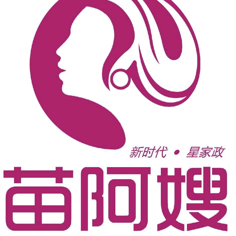 苗阿嫂职业技能培训