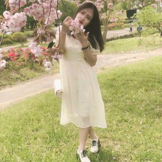 🍀🌷岁月静好🍀🌸