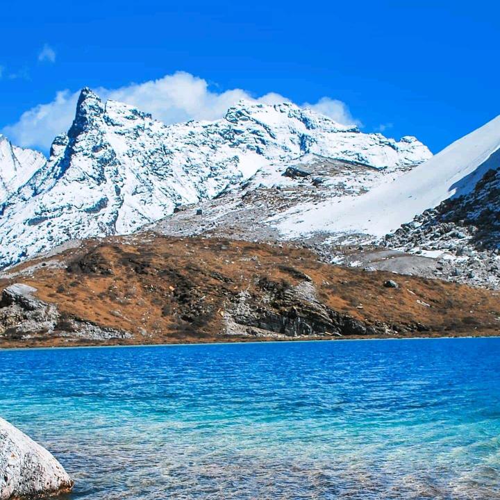 💪高途刘老师💪