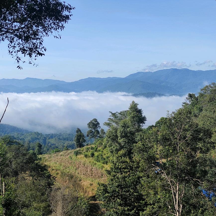 西双版纳旅游包车自由行