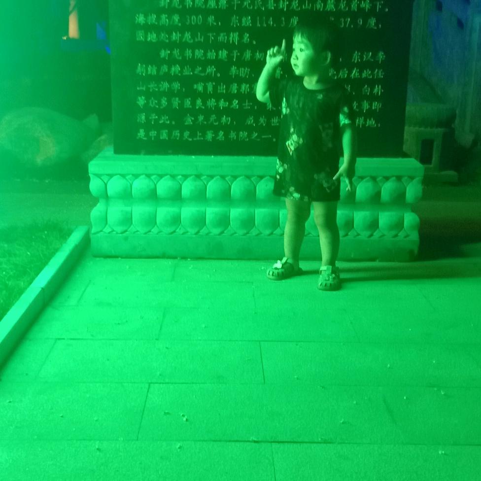 占