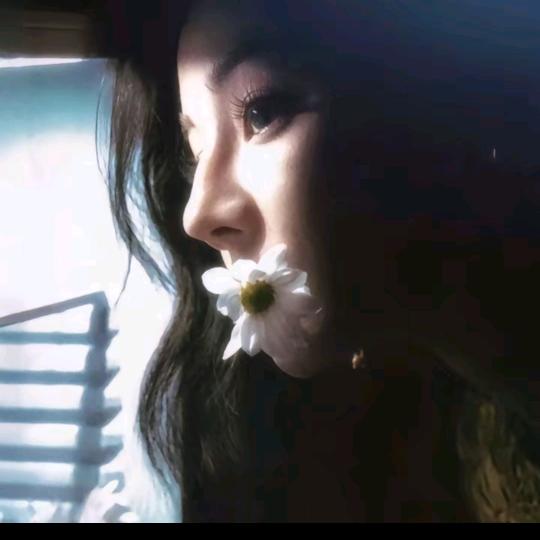 -(๑><๑）（看到我请让我去睡觉！）