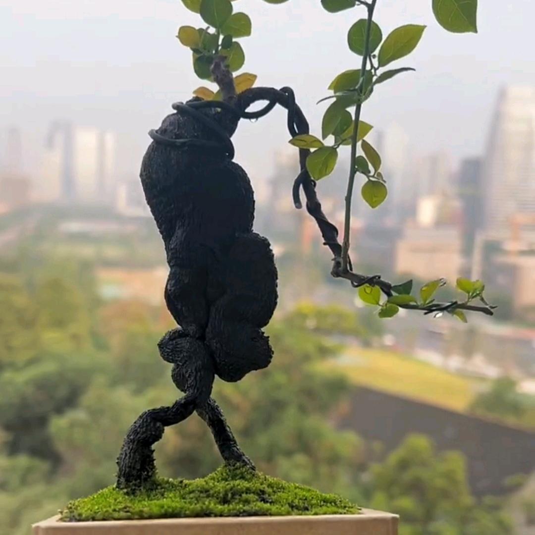 弹元素盆景