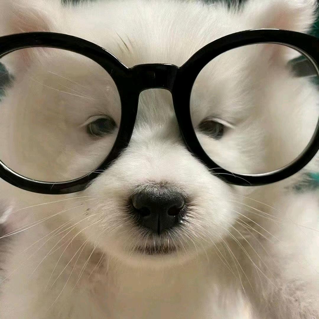睿挞兮兮👌🏻