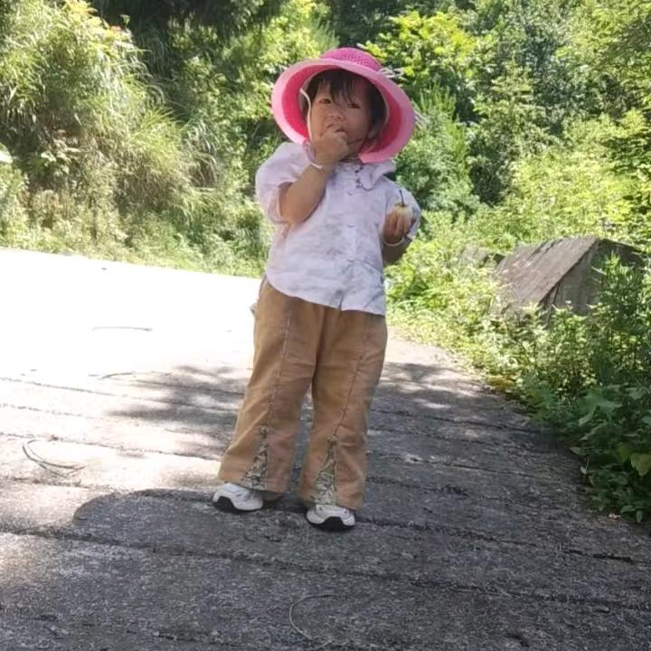 🌲嘟嘟薇