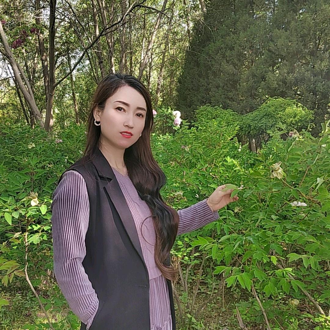@元宝