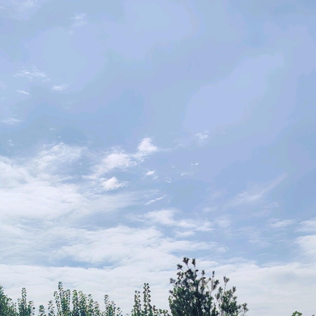 一颗大卤蛋