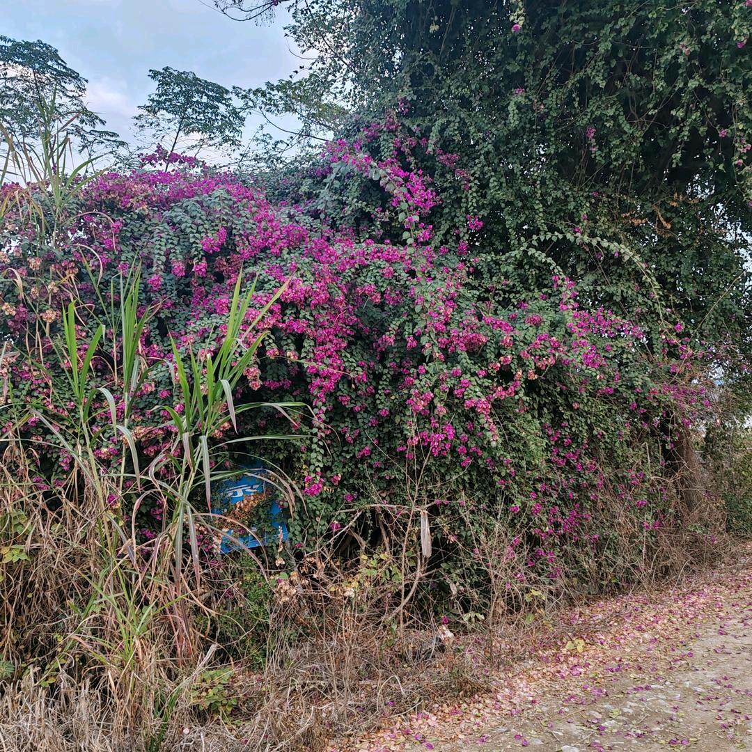 天天快乐每一天
