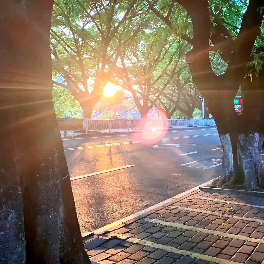 鲁鲁_