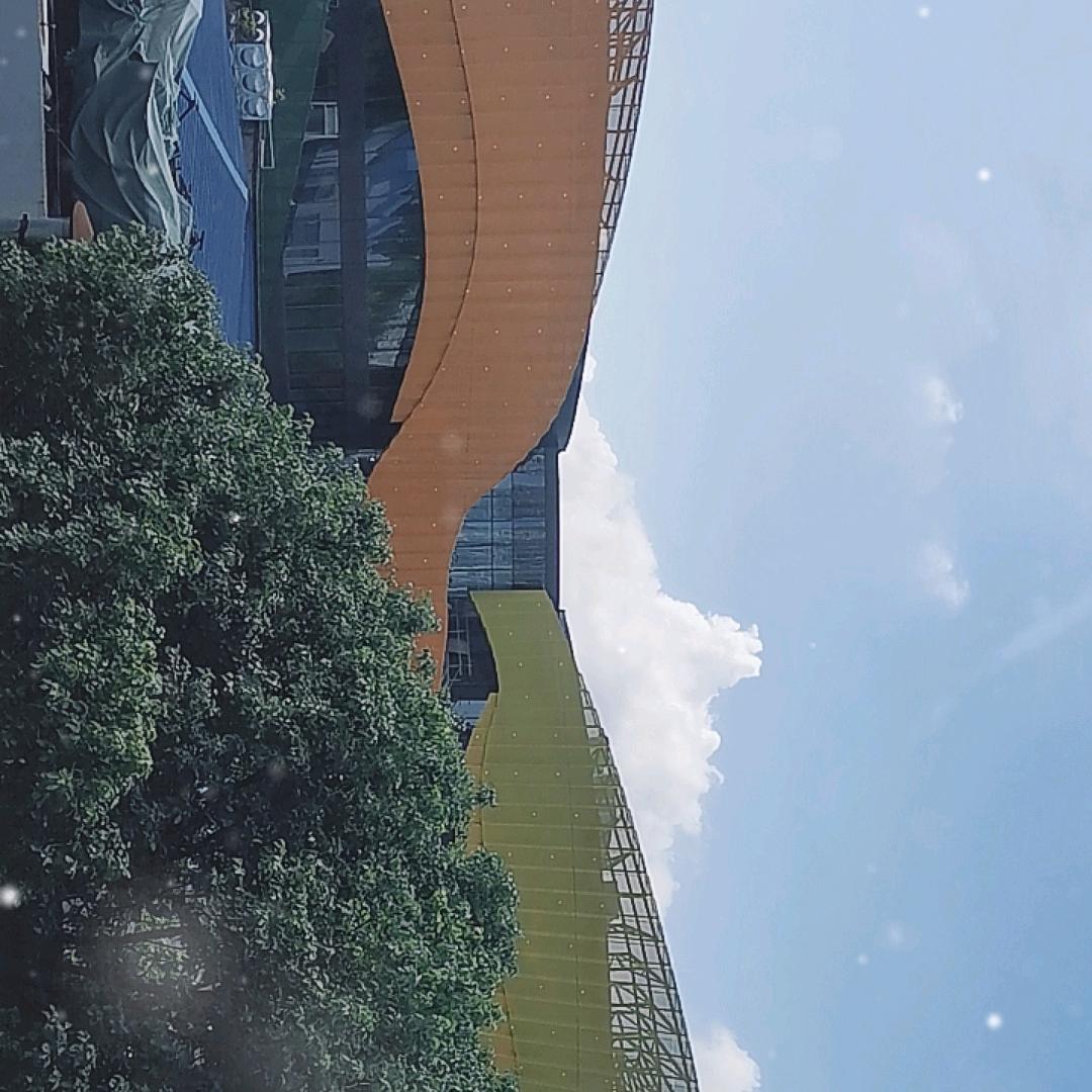 牛顿