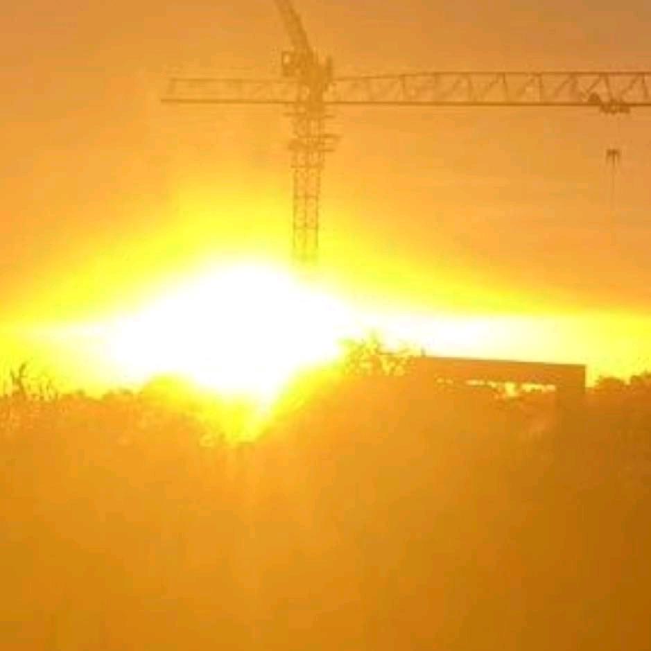 迟来的深情比草贱