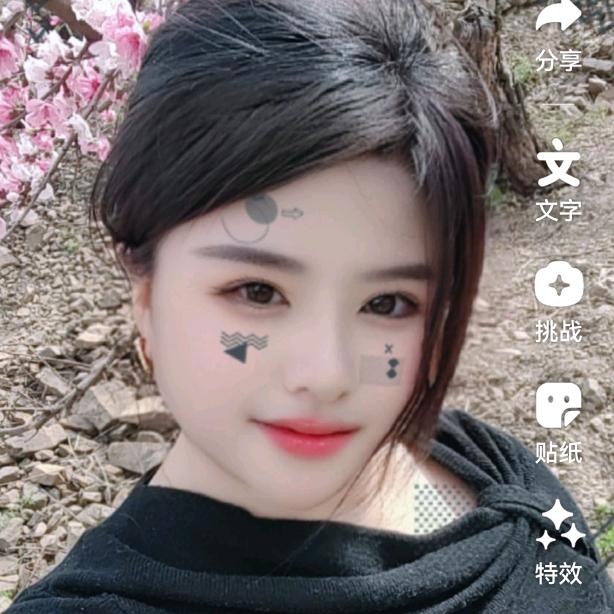 鸿鸿
