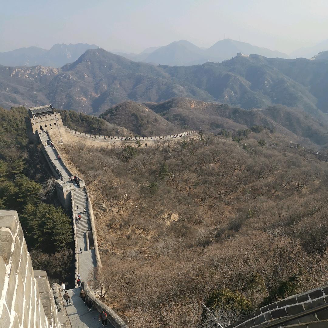 饲料原料搬运工