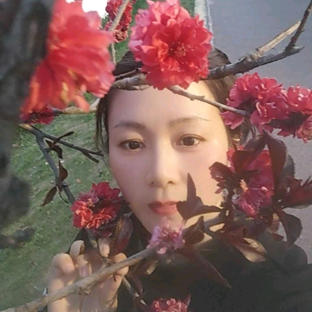 子蝶