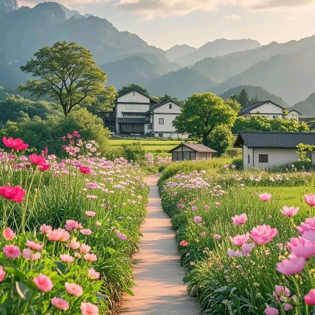 菲菲