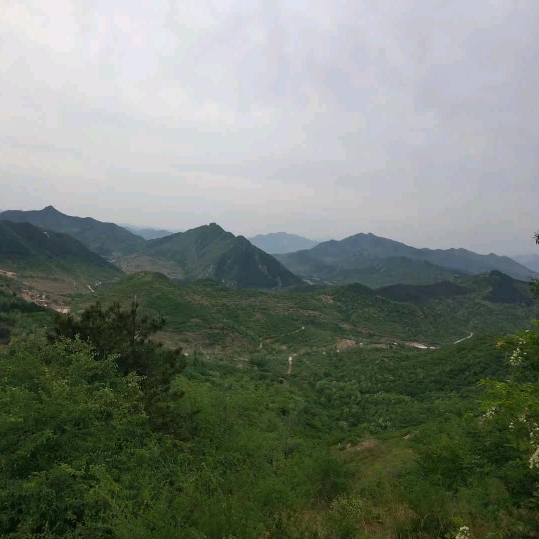 黑铁蛋