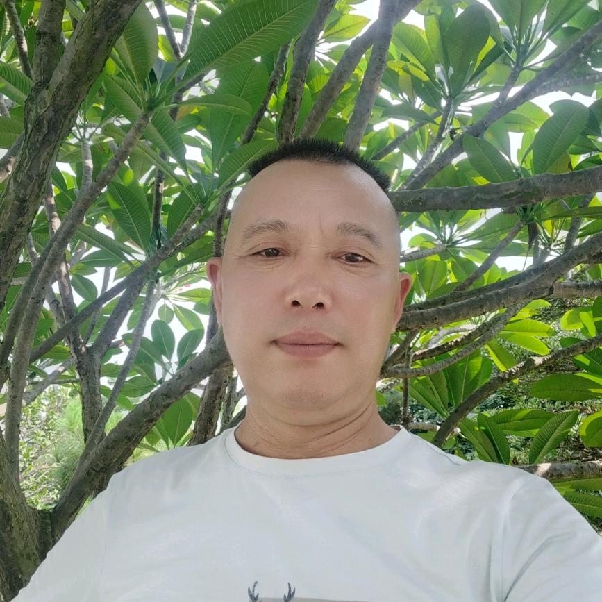 爱你的帅哥