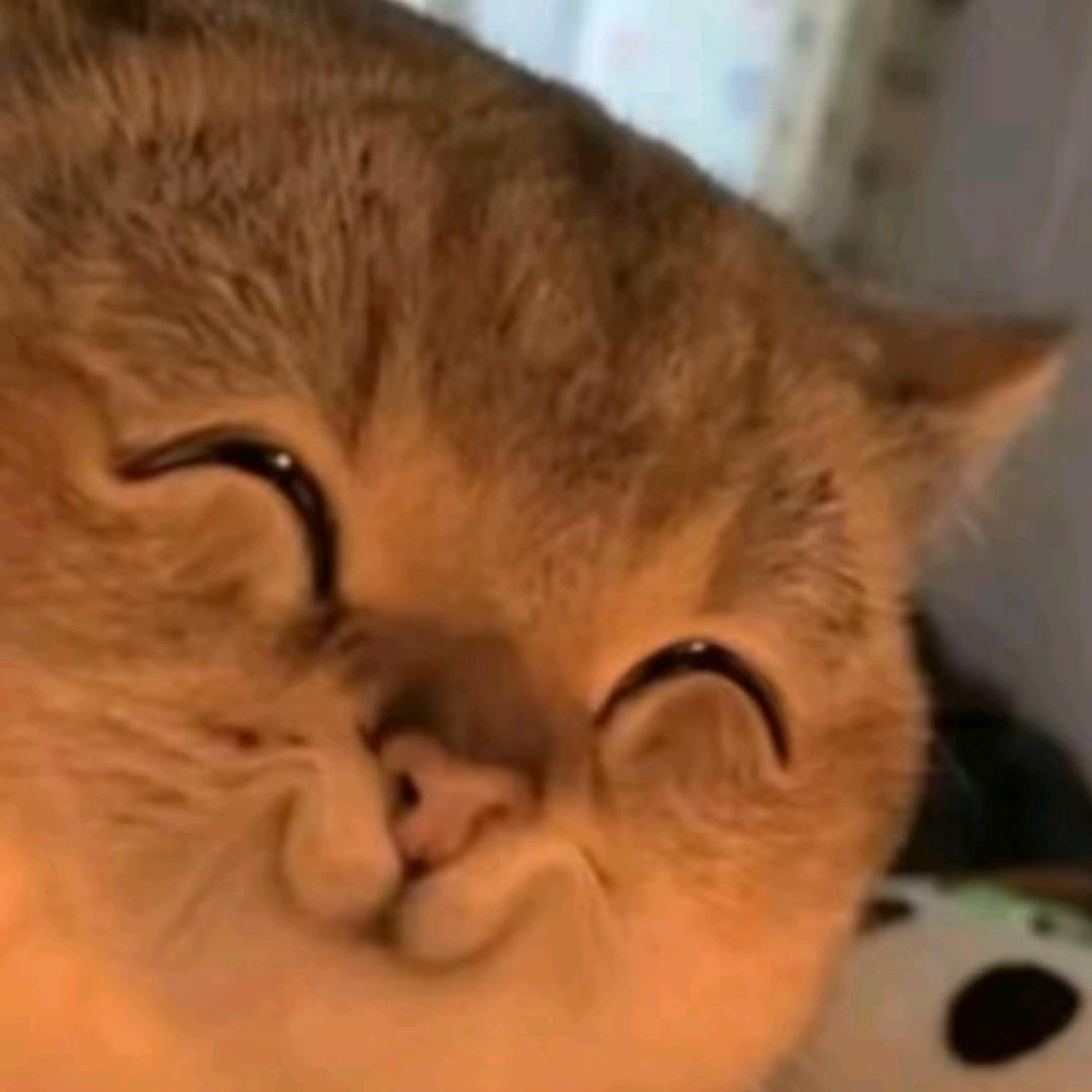 辣条玩游戏