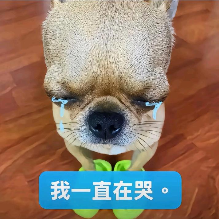 小R